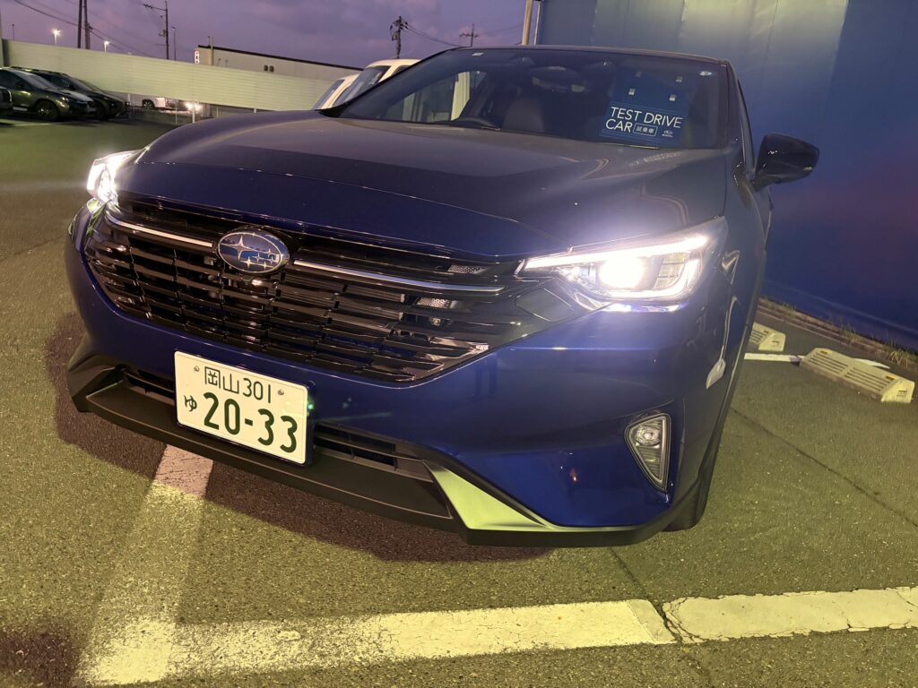 レイバック　いろんな顔